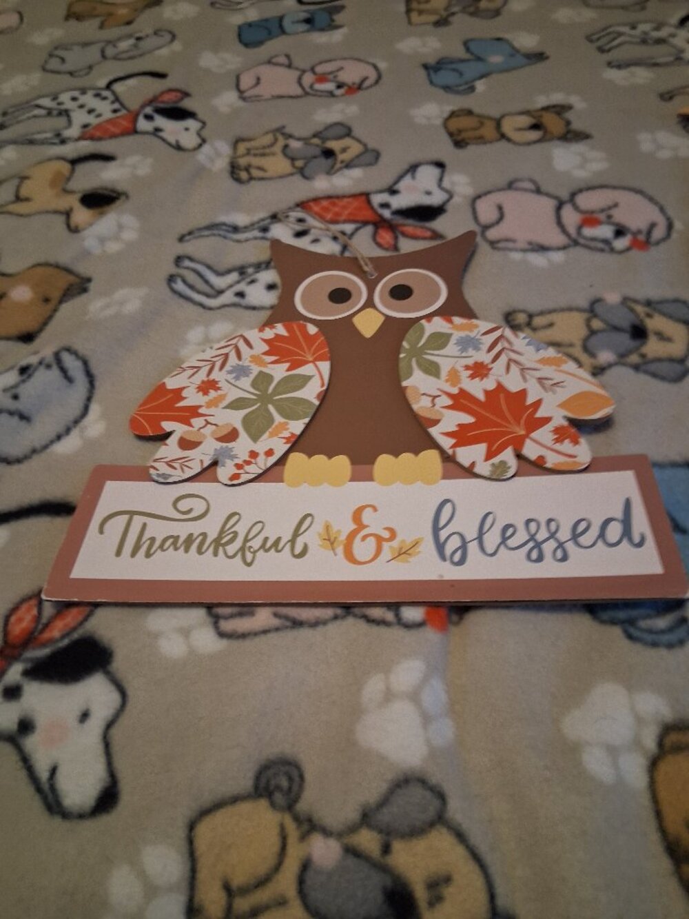 WOODEN CUTE OWL